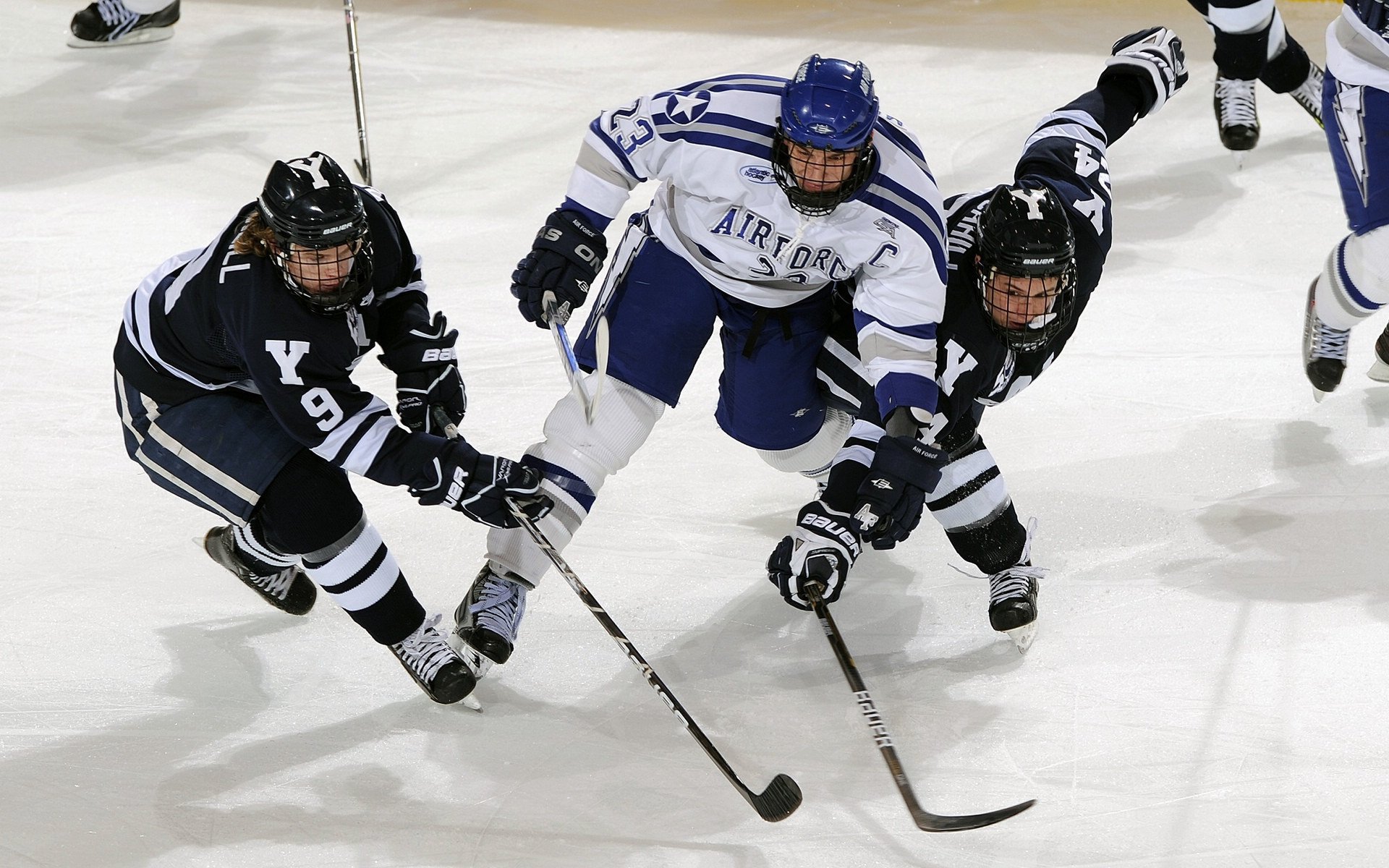篮球运动员专项技能训练课程体系构建与评估，篮球专项技术